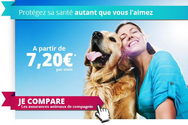 comparer gratuitement votre assurance