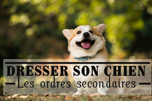 Tout sur les chiens : un site pour les amoureux des chiots Tout sur les chiens : un site pour les amoureux des chiots