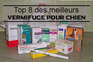 Top 8 des vermifuges pour chien, chiot, et chienne en gestation