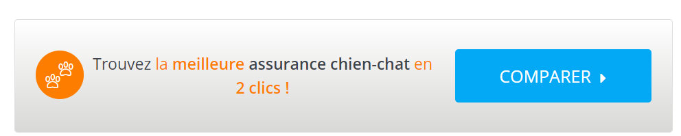 comparer son assurance chien