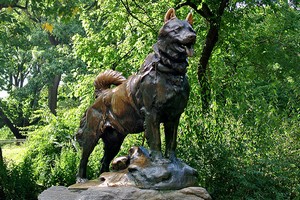 Statue de balto