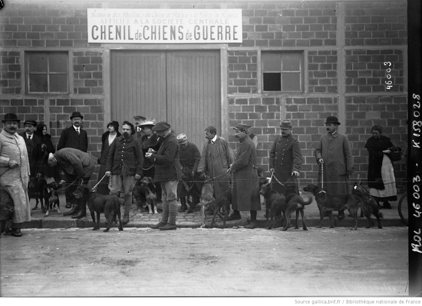 chenil de chien de guerre