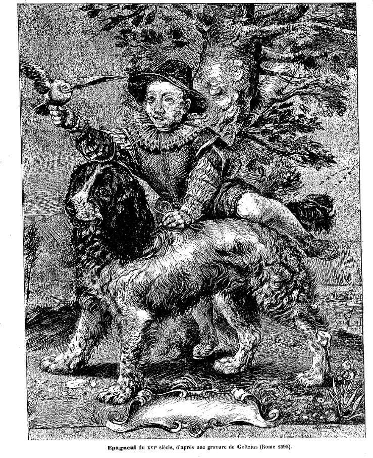 Gravure de Gotlzius, représentant un fou, son faucon et son épagneul