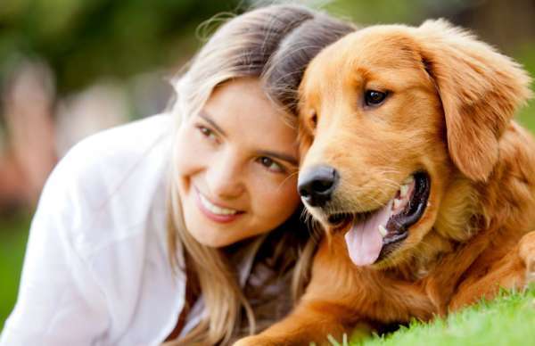 adopter un chien