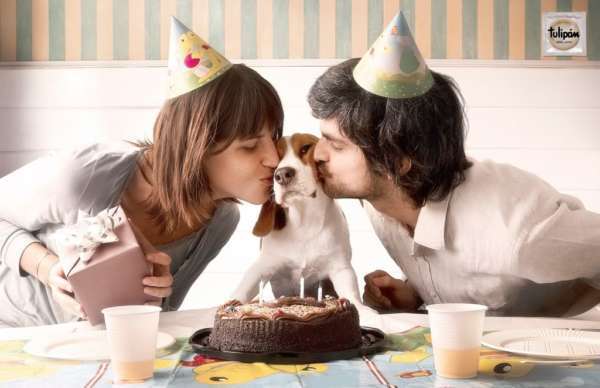 L'anthropomorphisme d'un couple qui fête l'anniversaire du chien