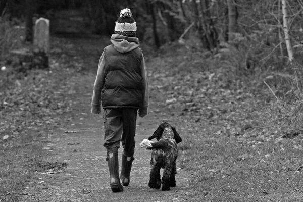 rendre les balades plus faciles grâce à la marche au pied