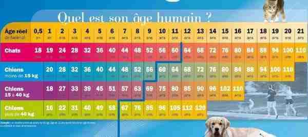 Calendrier d'âge du chien