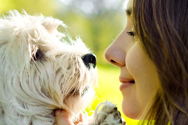 chien avec son maitre