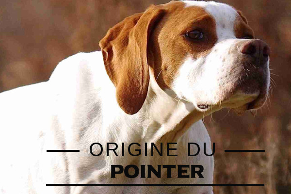 Illustration de l\'origine du-Pointer