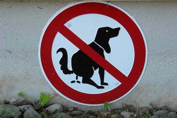 Panneau interdiction au chien de faire caca