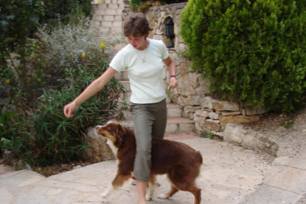 slalomer avec son chien