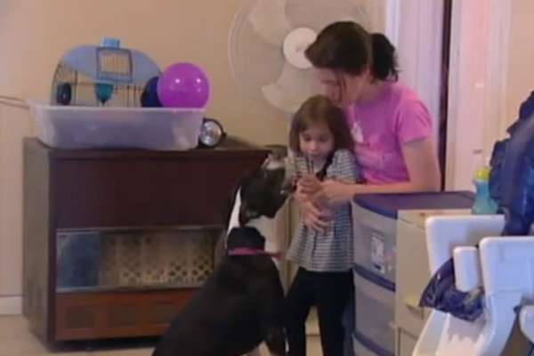Une petite fille aveugle retrouve son chien