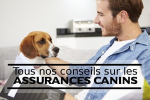 Assurer son chien