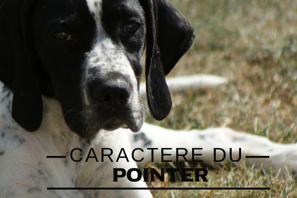 Caractère du Pointer