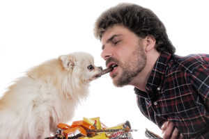 Le chien peut-il manger du chocolat?