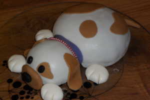Le sucre rend-il le chien aveugle?