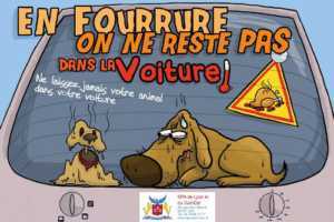 Les coups de chaleur du chien: symptômes et préventions