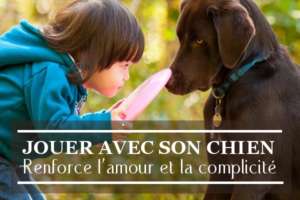 Jouer avec son chien