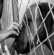 10 raisons d'adopter un chien de refuge