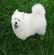 Adopter un chien de refuge