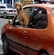 Le premier grand voyage avec votre nouveau chien