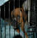Choisir un parc pour son chien
