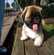 Trouver une bonne garderie pour chien