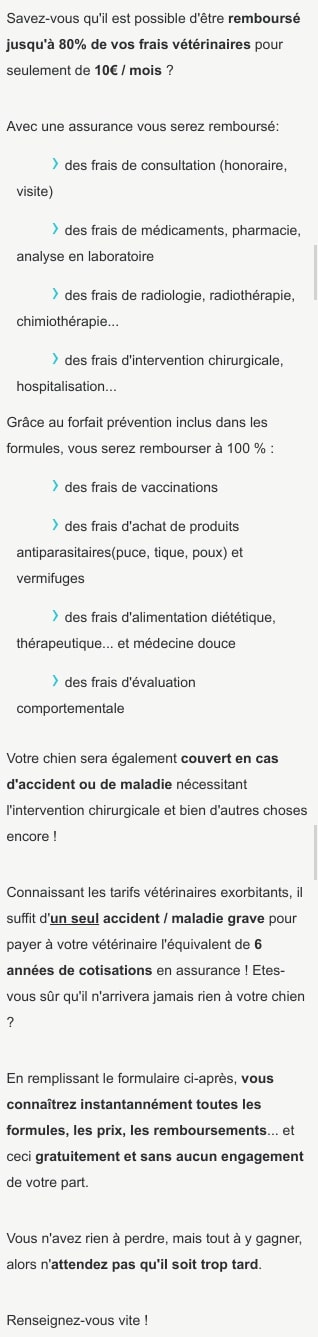 Solution sante pour chien