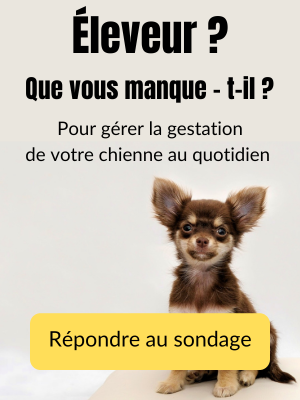 sondage création d'une application pour le suivi de la gestation de la chienne